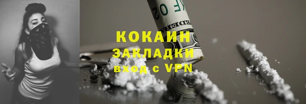 дмт Богородск