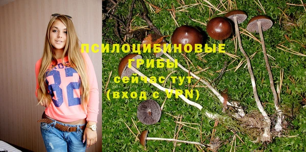 дмт Богородск