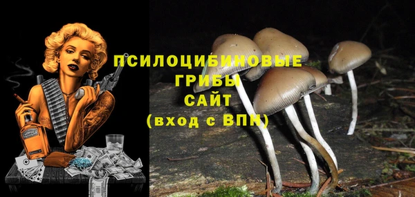 дмт Богородск