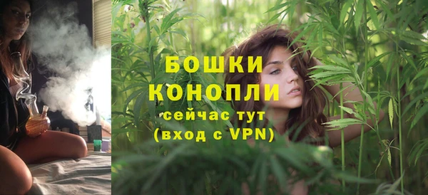 ПСИЛОЦИБИНОВЫЕ ГРИБЫ Бородино