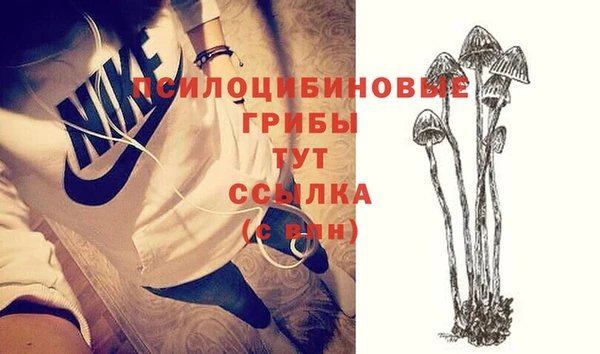 скорость Богданович