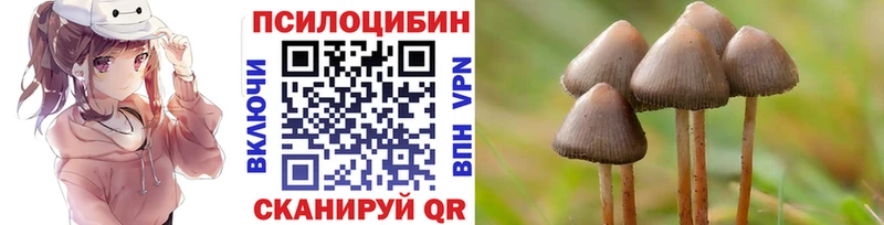 купить наркотики цена  Кореновск  Галлюциногенные грибы Magic Shrooms 